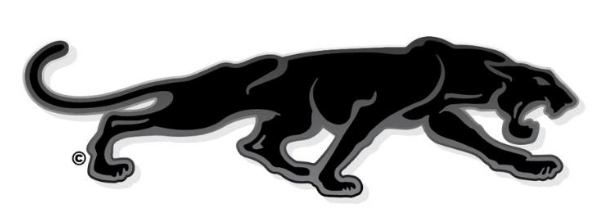 Black panther silhouette logo