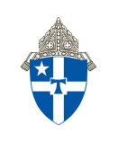 Blue shield with cross and star emblem